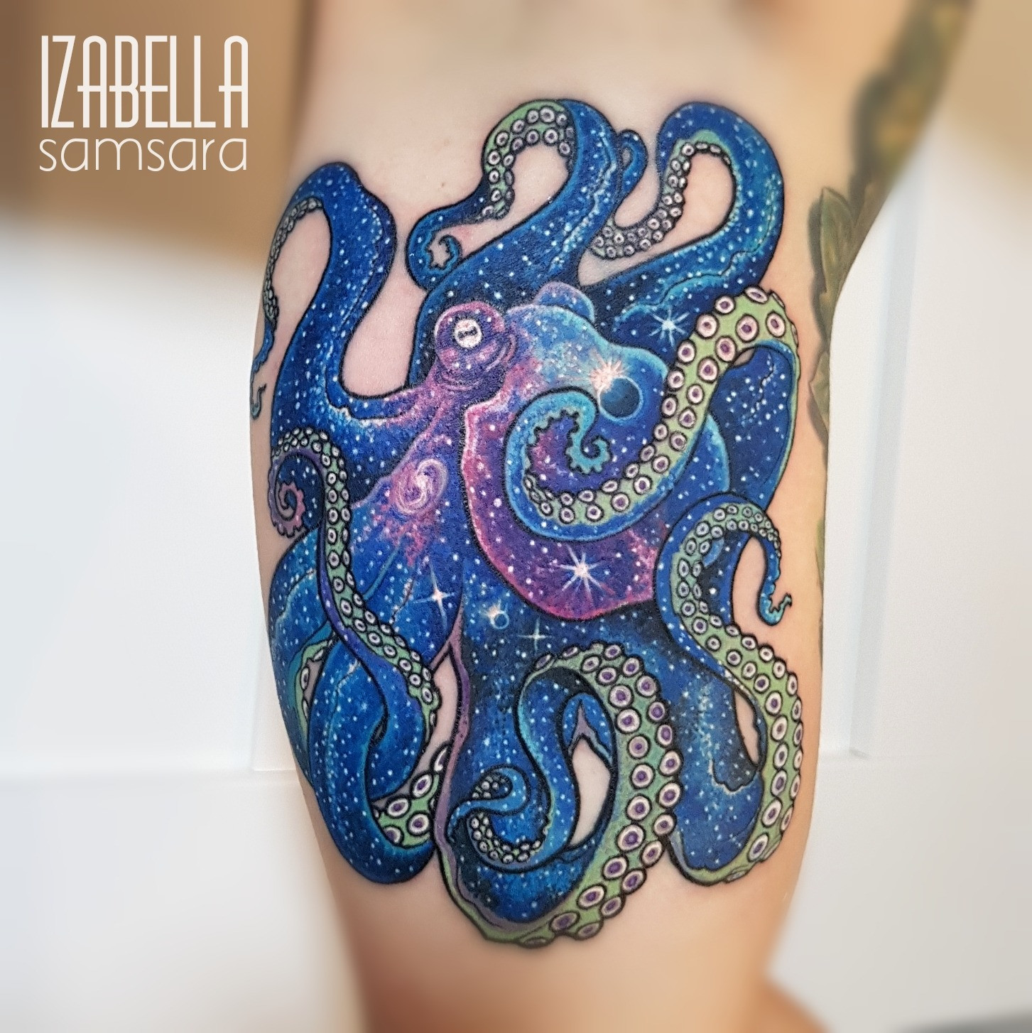 Ośmiornica octopus kraken
