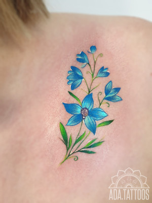 niebieskie kwiaty blue flowers