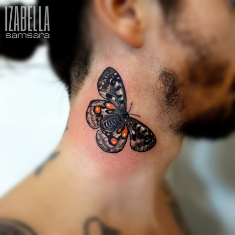 motyl butterfly on the neck