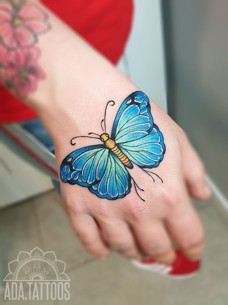 motyleq butterfly