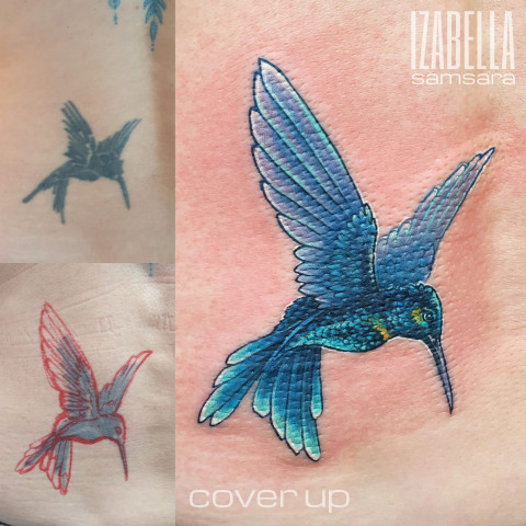 koliber cover colibri