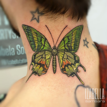 motyl szyja butterfly neck