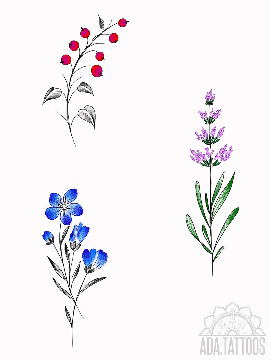 flowers drawing