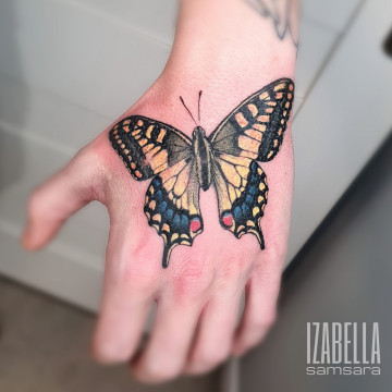 motyl na dłoni butterfly on the hand