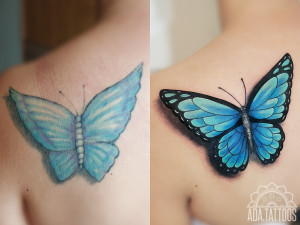 blue butterfly cover niebieski motyl