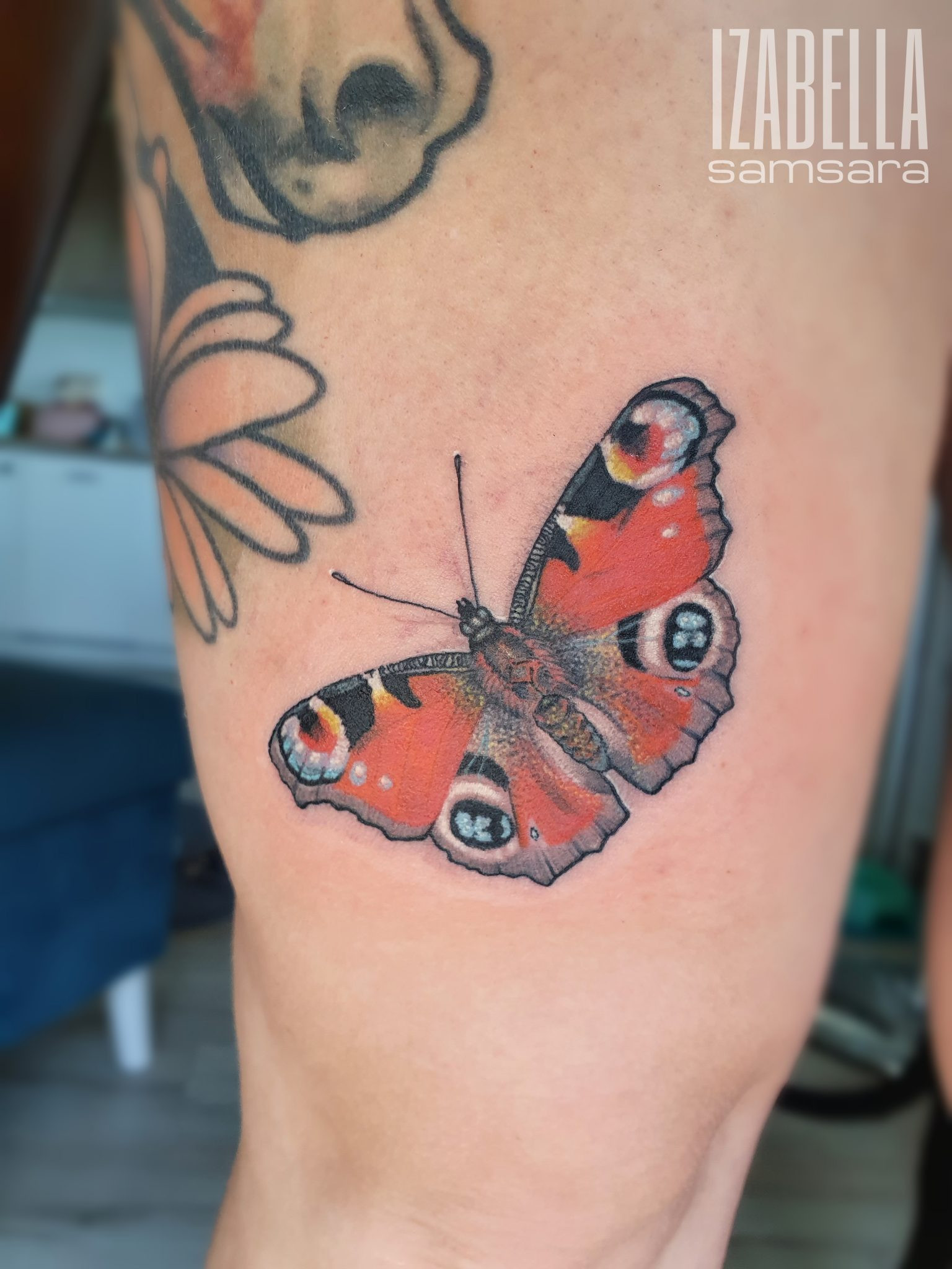 motyl butterfly on the leg