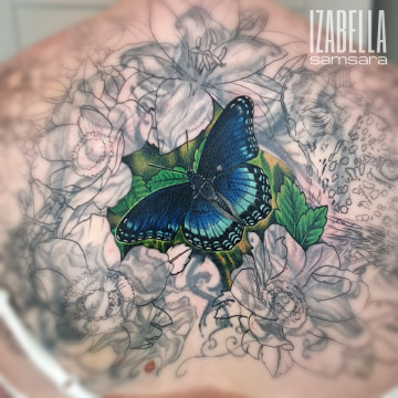 cover motyl butterfly